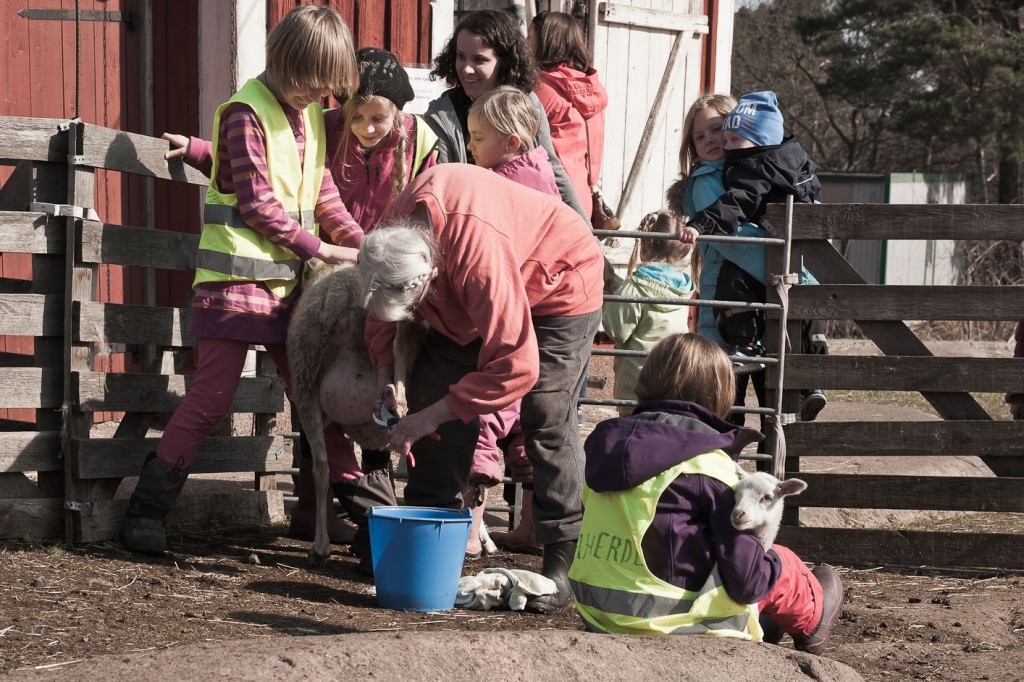 Fåraherdar