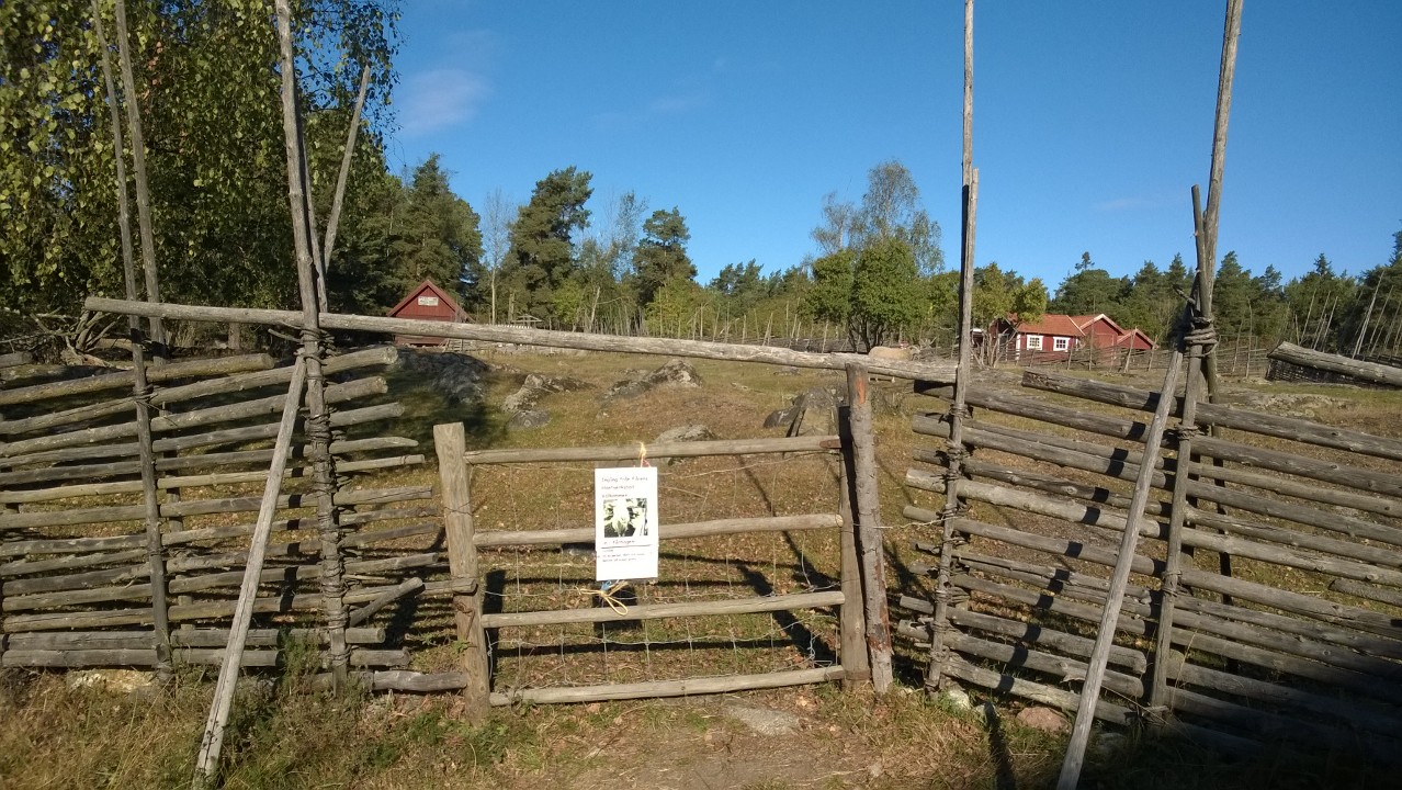 Gärdesgårdsbygge 2016